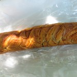 メープルバトン：パネッテリアオークラ
