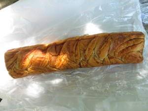 メープルバトン：パネッテリアオークラ