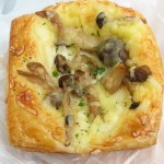 きのこ：ルバカサブル