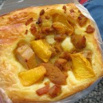 タンドリーチキンとマンゴー：ルバカサブル