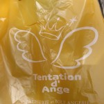 タンタシオンダンジュ