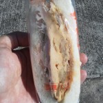 ふわふわオムレツサンド：ウインドベル