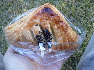 フランスあんパイ：ウインドベル