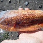 ホットドッグ：ウインドベル