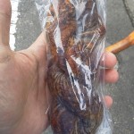 チョコツイスト：ぱんだ