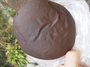 とろーりチョコクリームパン：いそかわ/パケット