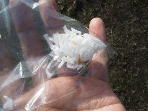 サワークリームチーズ：ウインドベル