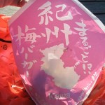 紀州梅バーガー：カワ