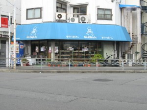 モノポール