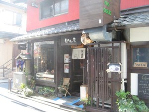 レウココリーネ