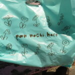 pan nochi hare