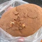 ベルギーチョコクリームパン：幸せの100円パン職人常盤店