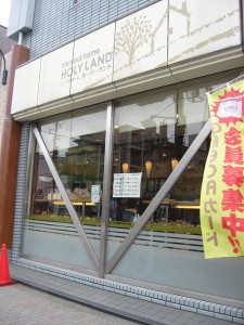 ホーリーランド