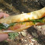 水菜とベーコン：Pain de mie