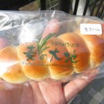 コルネ（生クリーム）：麦の大地大利店