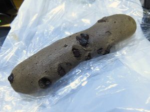 ちょこもっちー：ボンシャンヌ