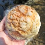さくらのサンライズ：トコハベーカリー