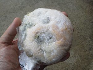 ふわもちうぐいす豆パン：小麦の郷