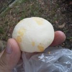 モッチーニ（チーズ）：クーズコンセルボ南港ATC店