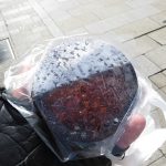 気まぐれフルーツのクロッカン：ルビュール