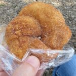 シナモンドーナツ：フリアンディーズ今出川店