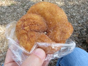 シナモンドーナツ：フリアンディーズ