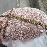 ビスキュイショコラ：進々堂北山店