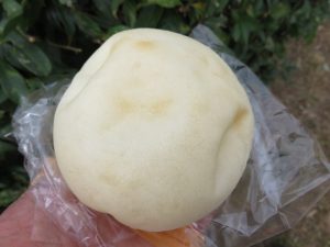 あんぱん善哉：パン工房橙
