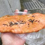 明太子フランス：プチシャンボール修学院店