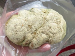 よもぎ餅あんぱん：プチシャンボール