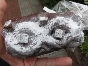 ショコラスイート：小麦の郷