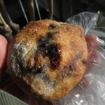 いちごとチョコ：ぱんだよりノドカ