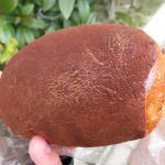 焼きいもパン：小麦の郷ライフ伏見深草店