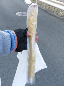 シュガーフレンチ：パンの実