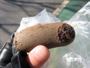 チョコもっちー：ソレイユ（甲子園）