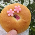 桜あんぱん：ブレーメン