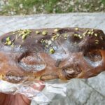 ブッシュドショコラ（2021）：小麦の郷ライフ伏見深草店