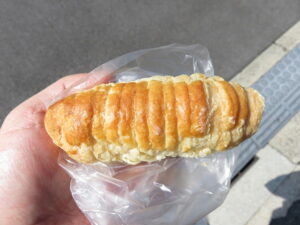 パイコルネ：アンデス