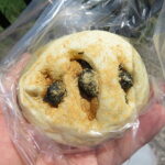 丹波黒豆きなこもちパン：パネッテリアオークラ