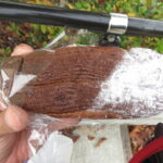 チョコマロン：志津屋京阪三条店
