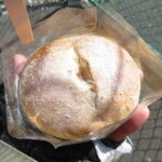イチジク：PANYAYAYAN