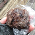ぬれリュスティック（チョコ）：アマムダコタン京都