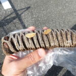 チョコパイ：ラ・メール・アオバ