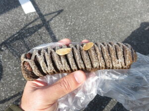 チョコパイ：ラ・メール・アオバ