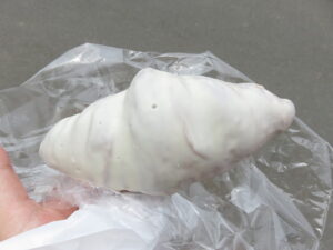 チョコクロワッサン（ホワイト）：ブルージュ洛北