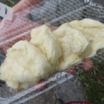 レモンあん蒸しパン：井上製パン