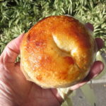 ベーグルニューバード：flipup!2