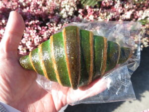 バイカラークロワッサン：ベーカリーメイ