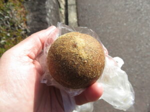 黒糖きなこもち：ペンギンクン