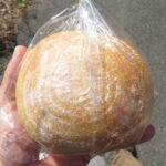 もっちもちブール：白殻五粉